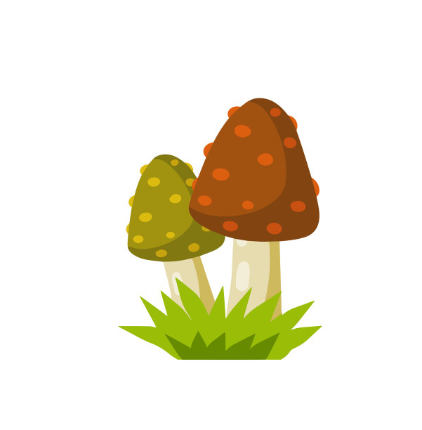 蘑菇具有红帽的天然天然产物图片下载