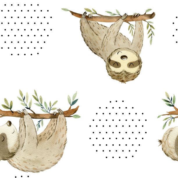 水彩可爱的树懒。图片下载