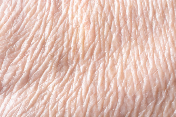 皮肤老化的纹理特写。图片下载