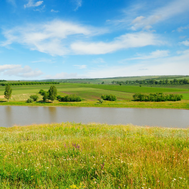 夏天的风景。草地、湖泊、农田和蓝天。图片下载