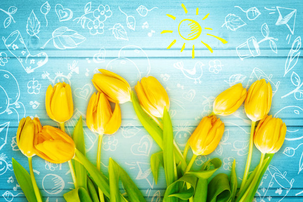 美丽的郁金香。网页横幅和卡片设计的春天自然背景。图片下载