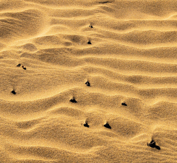 沙滩上的脚印，数码照片作为背景图片下载