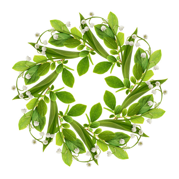 圆框与铃兰的山谷花和绿叶孤立在白色图片下载