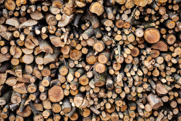 柴火堆-设计背景。生态燃料，可再生能源。图片下载