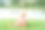 户外写真可爱快乐的孩子们一起在湖边或河边玩耍，兄弟姐妹们的爱图片下载