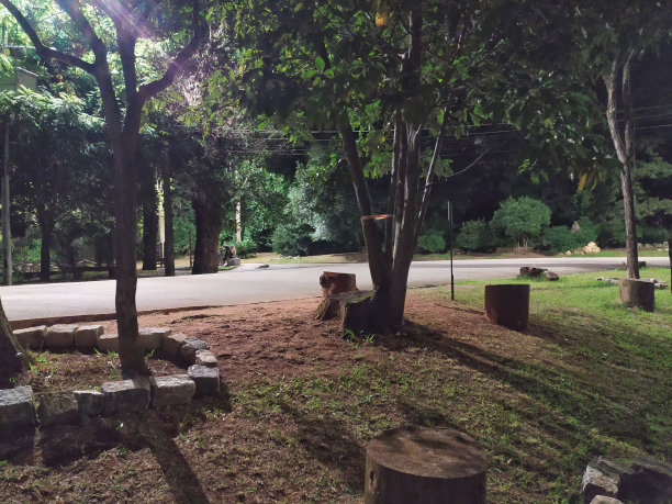 公园晚上几乎空无一人图片下载