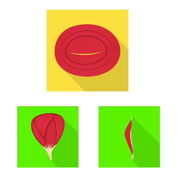分离物肌肉和细胞标志套图片下载