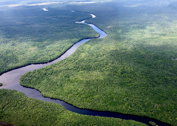 委内瑞拉的卡奈玛丛林景观图片下载