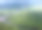 委内瑞拉的卡奈玛丛林景观图片下载