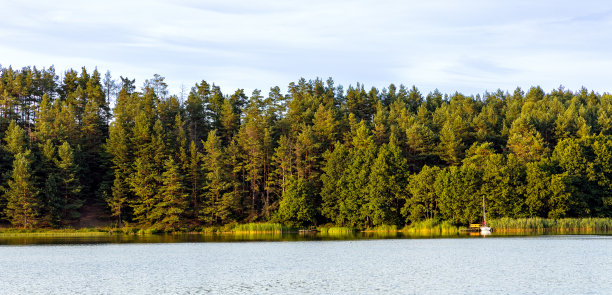 波兰北部卡舒比亚地区波美拉尼亚Borowy Mlyn村的Jezioro Gwiazdy湖岸边树木繁茂图片下载