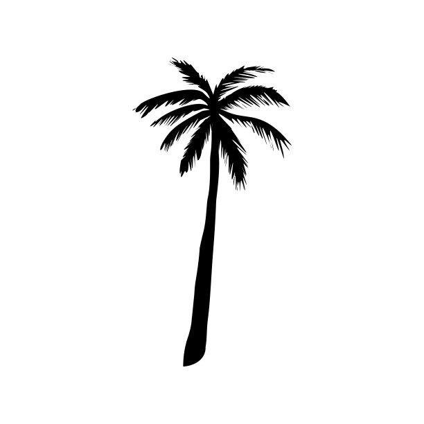 椰子树的剪影，棕榈树插图，矢量夏季标志图片下载