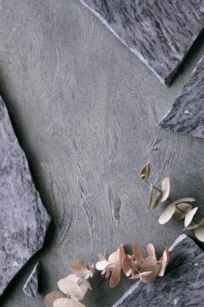 层状平坦的石头背景用碎裂的花岗岩片板，干燥的桉树香叶图片下载