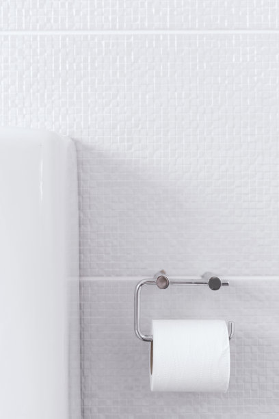 卫生间墙上挂着一卷厕纸图片下载