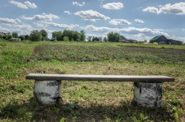 在阳光明媚的夏日，由桦树树桩和宽大的木板制成的手工长凳。俄罗斯图片下载