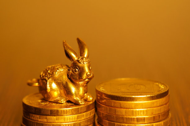 金色背景下的金属兔兔与硬币的特写。图片下载