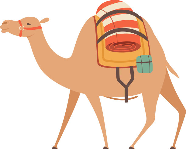 单峰骆驼:一种有鞍和驮物的驼峰骆驼图片下载