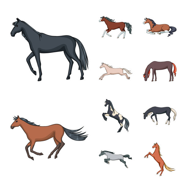 孤立对象动物和种马标志集图片下载