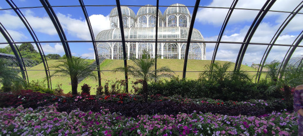 从温室到温室图片下载