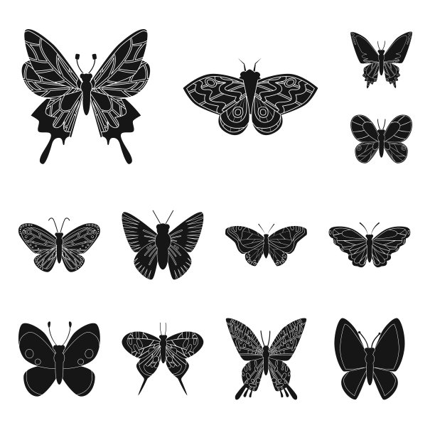 孤立对象生态和热带符号图片下载