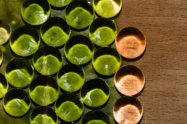 现代复古的绿色木色背景上的绿色部分体现了未来主义的色彩，从树叶上反射出生态循环自然的现代设计图片下载