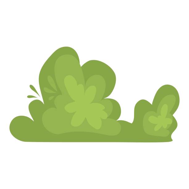 卡通对冲。园林公园绿化灌木，园林植物带花，森林植被，乔木灌木带枝，灌木为游戏，树篱矢量设计。春天公园绿地的插图图片下载