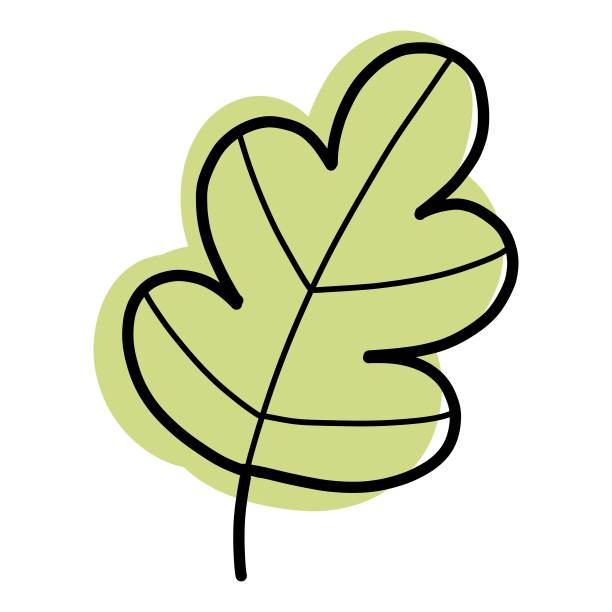 涂鸦叶图标轮廓手绘矢量。自然秋天秋天图片下载