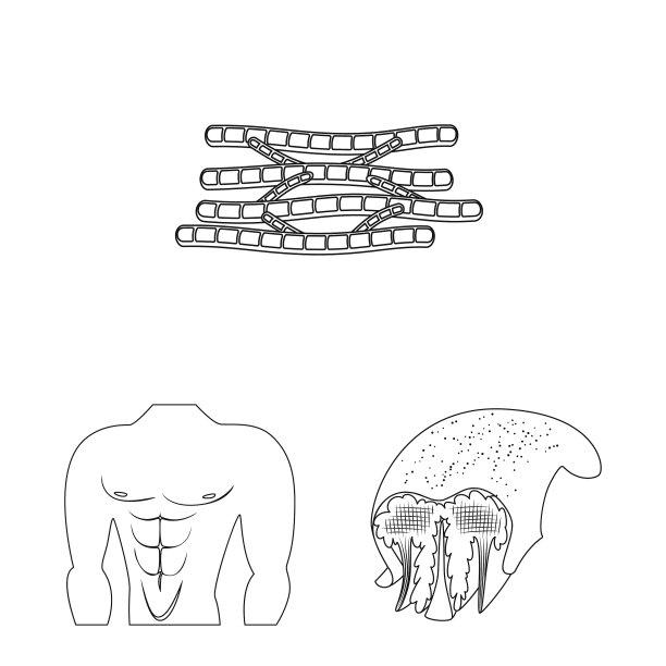 设计纤维和肌肉图标集图片下载