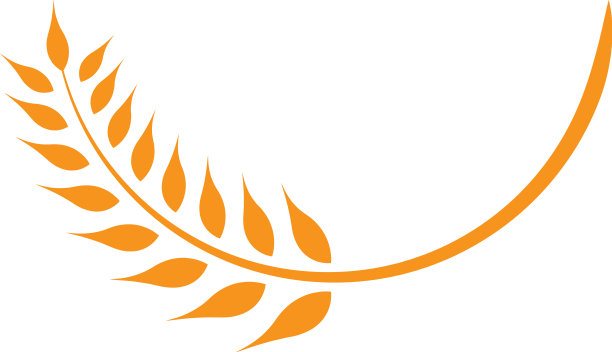 白色背景下树叶的特写镜头图片下载