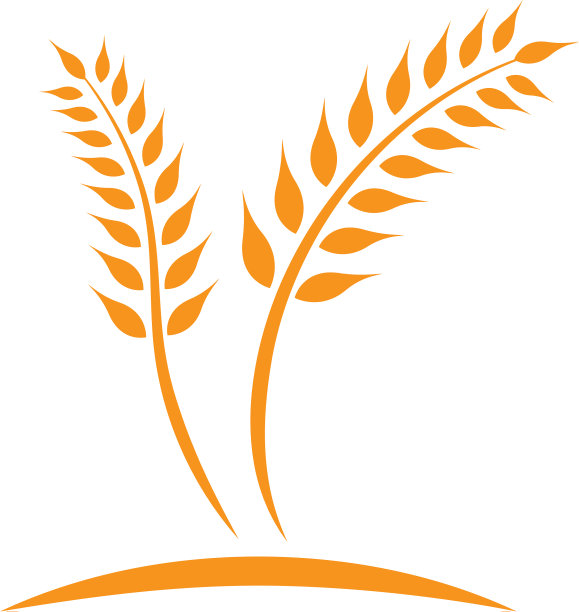 小麦标志模板图片下载