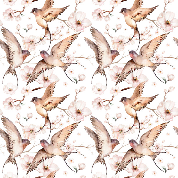 水彩春日飞燕孤立，花开花落无缝图案布背景图片下载