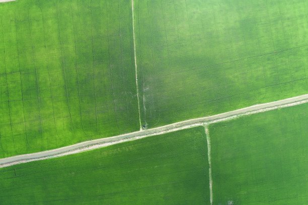 绿色稻田鸟瞰图泰国乡村图片下载