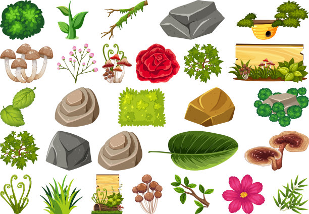 设置孤立的对象主题-园艺图片下载