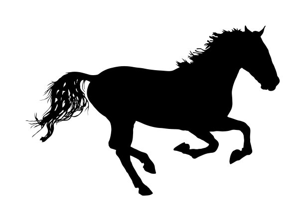 优雅的马在飞奔剪影运动比赛图片下载