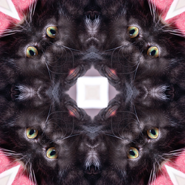 万花筒，曼荼罗，抽象图案，绿色眼睛的黑猫图片下载