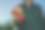 一个女人手里的新鲜草莓。图片下载
