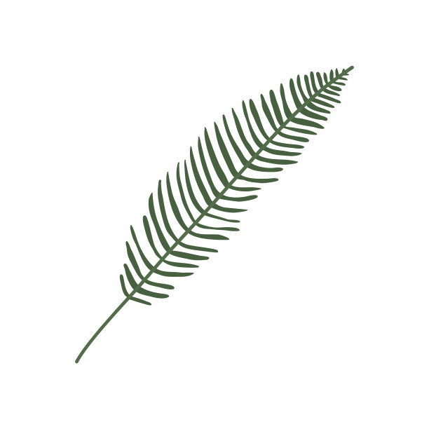 矢量手绘平面插图图片下载