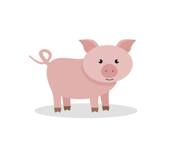 农场动物猪。有趣的小猪。小猪。图片下载