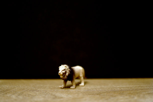 一群丛林动物玩具隔离在黑色背景。塑料动物玩具。保护动物。孩子们的玩具。图片下载