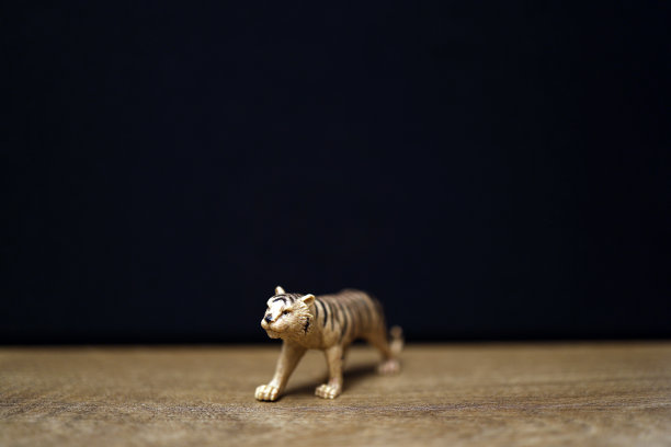 一群丛林动物玩具隔离在黑色背景。塑料动物玩具。保护动物。孩子们的玩具。图片下载