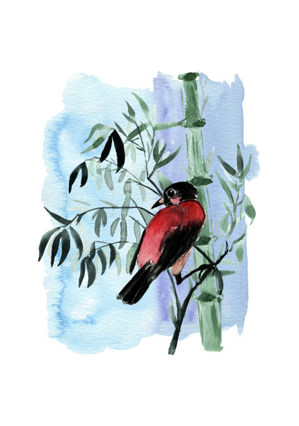 亚洲鸟类的水彩插图。中国传统山水画。在白色的背景上画上雾蒙蒙的森林树木。亚洲鸟类的水彩插图。图片下载