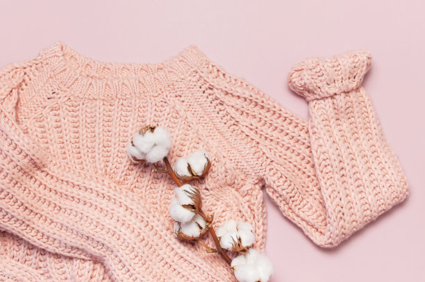 女性粉红色针织毛衣套头衫和棉枝上粉彩粉红色背景俯视平lay。时尚女士衣服套头衫秋冬服装时尚看起来精致的棉花生活方式图片下载