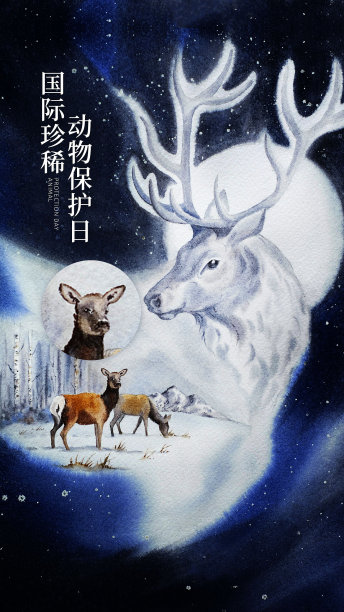 国际珍稀动物保护日手机海报图片下载