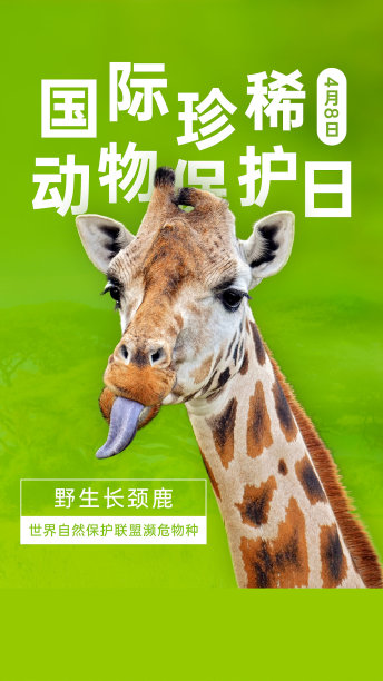 国际珍稀动物保护日手机海报图片下载