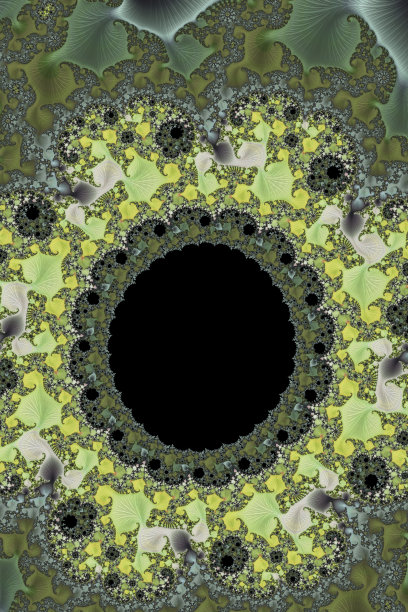 鸟瞰图植物学分形图片下载