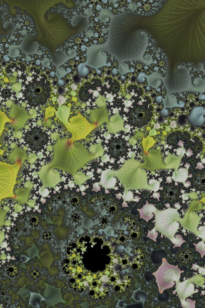 鸟瞰图植物学分形图片下载