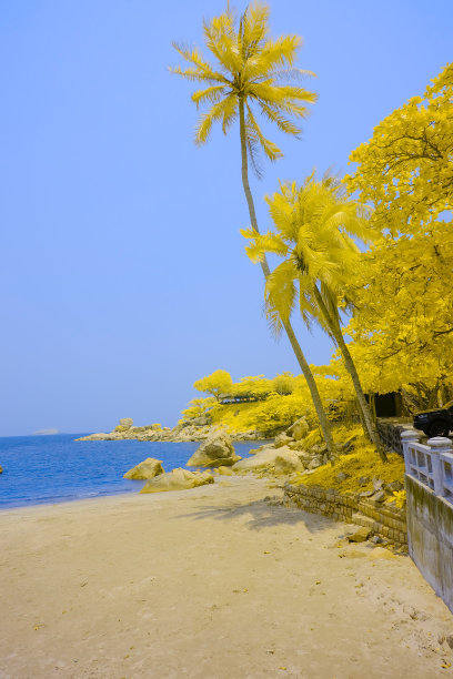 风景图片:芽庄海滩。图片下载