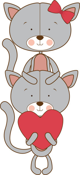 可爱的一对猫在白色背景图片下载