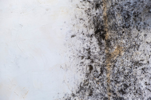 白色的墙壁上撒着一层脏东西，像被弄脏了的黑色煤烟图片下载