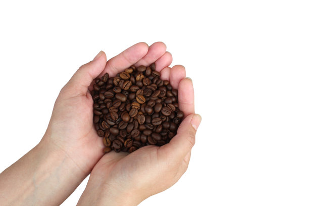 一把一把的咖啡豆图片下载