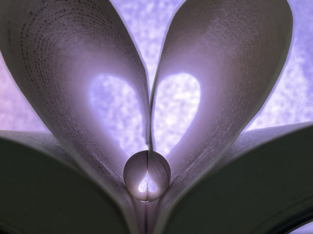 我们的爱情故事概念图片下载